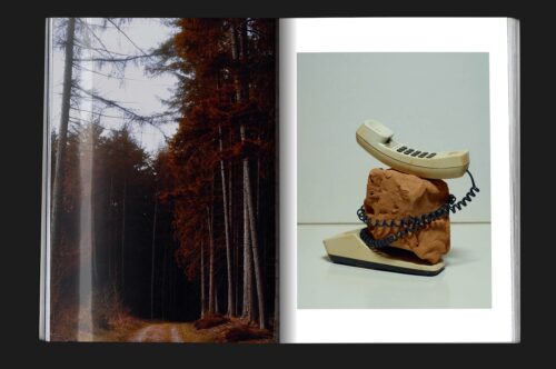 Mock up of design magazine Chapter showing moody photograpy of woods