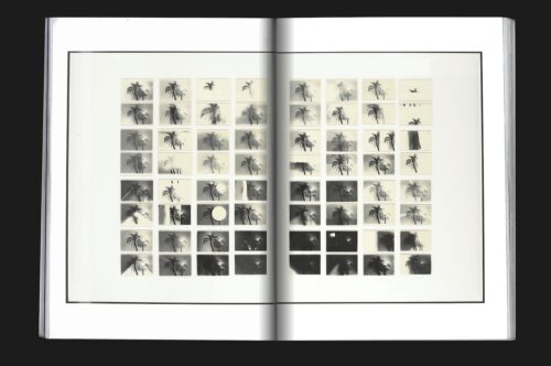 Design magazine Chapter featuring Dutch artist Bruno van Roels and his fine art photography series of palm trees.