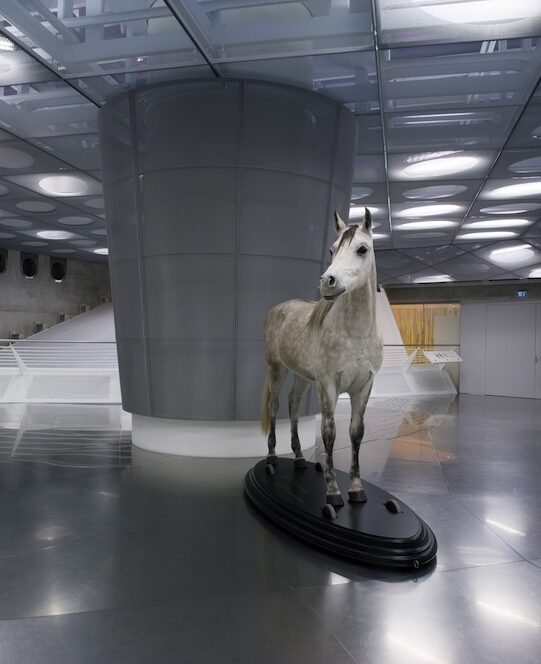 Installationsansicht im Mercedes-Benz Museum Stuttgart zeigt Ausstellung »Mythos 1. Pioniere —
die Erfindung des Automobils 1886-
1900.«