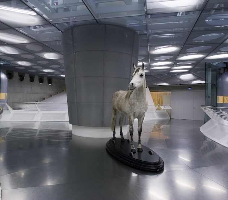 Installationsansicht im Mercedes-Benz Museum Stuttgart zeigt Ausstellung »Mythos 1. Pioniere — die Erfindung des Automobils 1886- 1900.«
