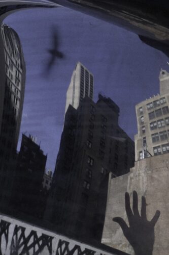 Cinematic, surrealist photography by David van der Leeuw exploring light, reflection, and shadow to blur reality and perception.