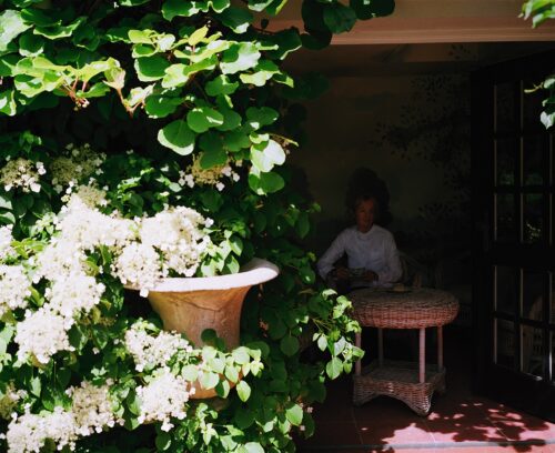 Jil Sander fotografiert in ihrem privaten Garten von Norbert Schoerner.