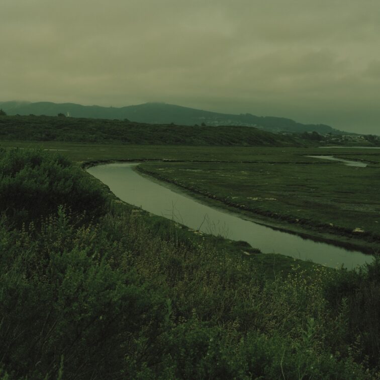 Image titled "Landscape #1" from monograph "I THOUGHT THAT I WOULD BE IN HEAVEN BUT I AM ONLY UP A TREE" by RYAN JAMES CARUTHERS with an essay by writer OCEAN VUONG published by FORMA Editions