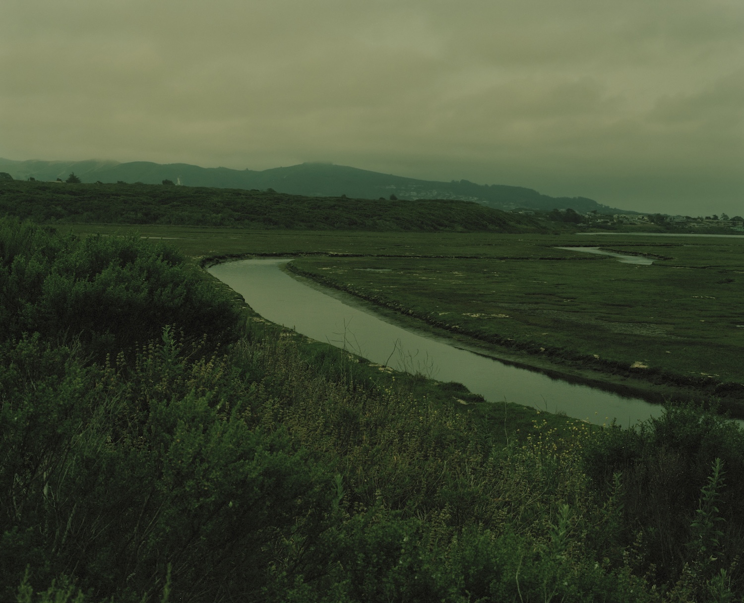 Image titled "Landscape #1" from monograph "I THOUGHT THAT I WOULD BE IN HEAVEN BUT I AM ONLY UP A TREE" by RYAN JAMES CARUTHERS with an essay by writer OCEAN VUONG published by FORMA Editions