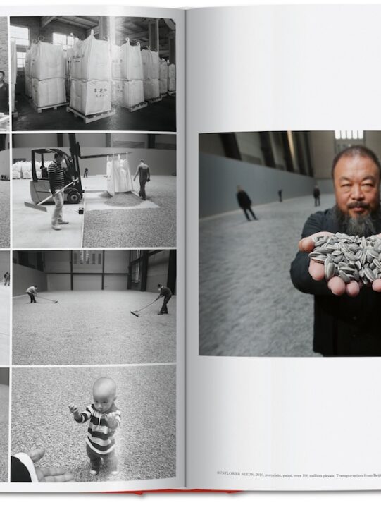 look inside the monography titled ai weiwei published by taschen