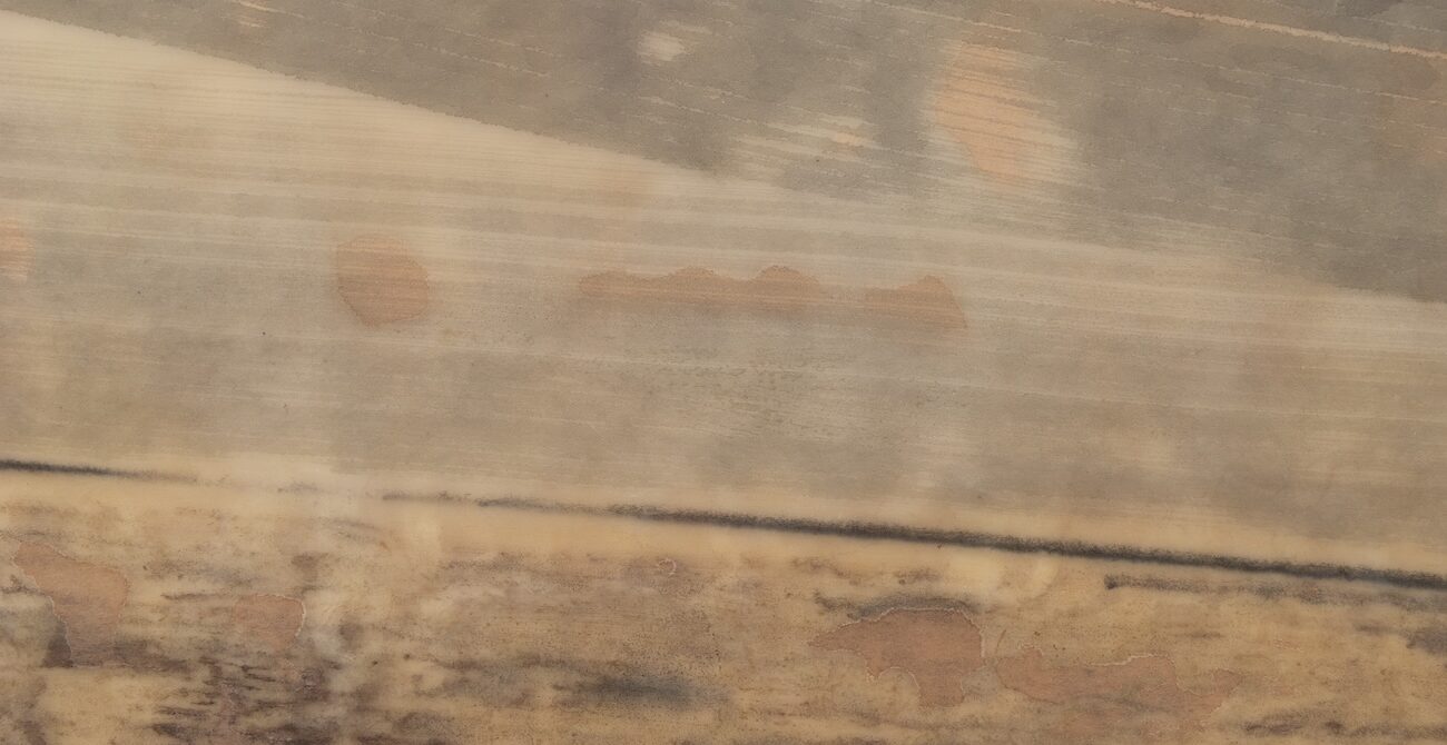 Artwork by artist and photographer Eloise Hess from the series Picture a Train, 2025