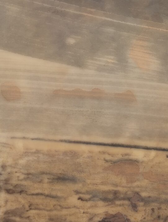 Artwork by artist and photographer Eloise Hess from the series Picture a Train, 2025