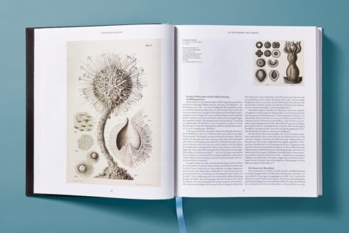 The Art and Science of Ernst Haeckel published by taschen