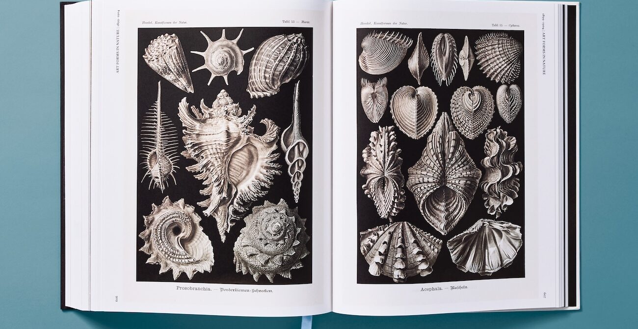 The Art and Science of Ernst Haeckel published by taschen