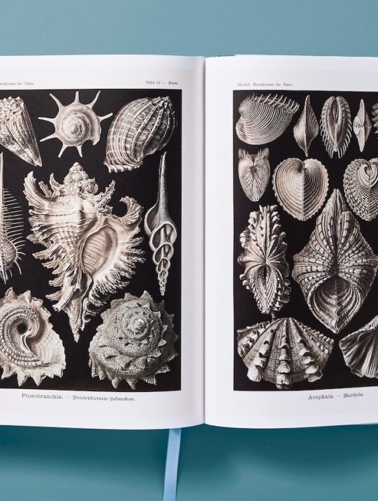 The Art and Science of Ernst Haeckel published by taschen
