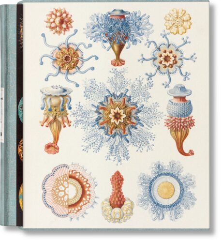 cover of The Art and Science of Ernst Haeckel published by taschen